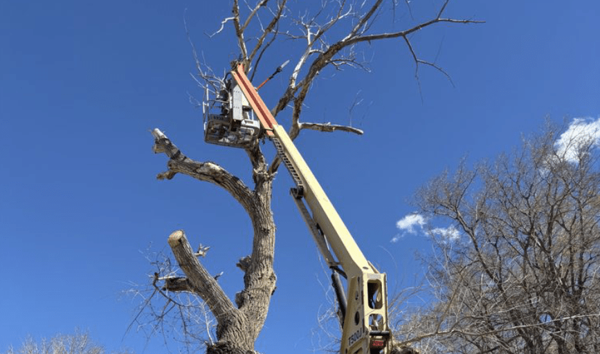Zapata Outdoor Services